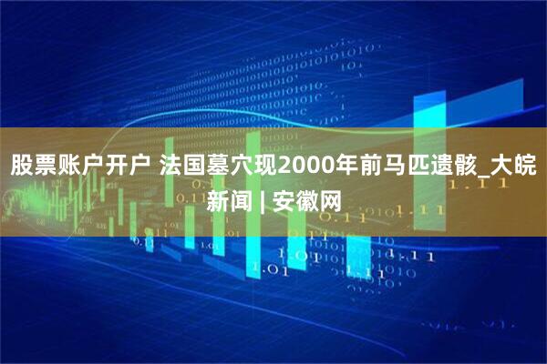 股票账户开户 法国墓穴现2000年前马匹遗骸_大皖新闻 | 安徽网